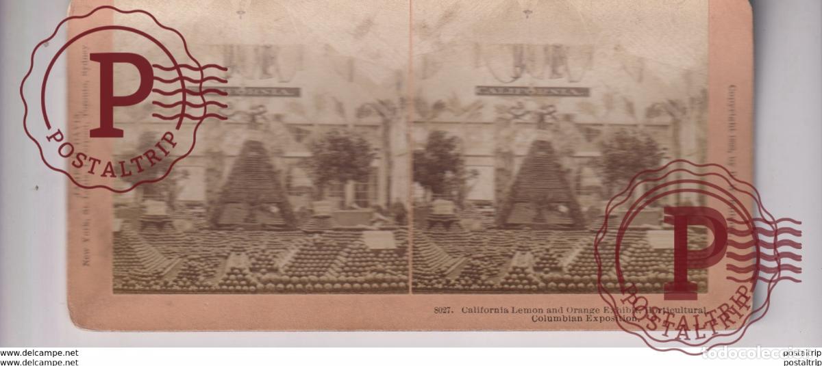 Fotografia antiga: USA CALIFORNIA LEMON AND ORANGE EXHIBIT COLUMBIAN EXPOSITION st&eacute;r&eacute;oscopique st&eacute;r&eacute;oscope carte photo