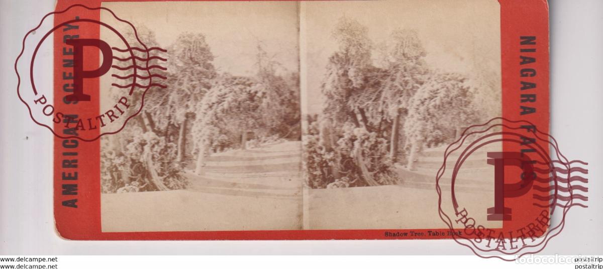 Fotografia antiga: SHADOW TREE TABLE ROCK NIAGARA FALLS st&eacute;r&eacute;oscopique st&eacute;r&eacute;oscope carte photo st&eacute;r&eacute;o