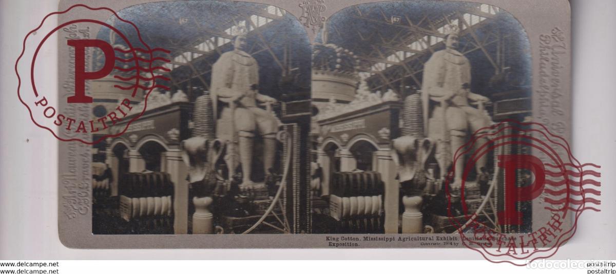Fotograf&iacute;a antigua: KING COTTON MISSISSIPPI AGRICULTURAL EXHIBIT LOUISIANA PURCHASE EXPOSITION st&eacute;r&eacute;oscopique st&eacute;r&eacute;oscop