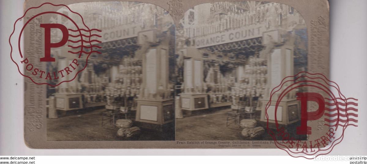 Fotograf&iacute;a antigua: FRUIT EXHIBIT ORANGE COUNTY CALIFORNIA LOUISIANA PURCHASE EXPOSITION st&eacute;r&eacute;oscopique st&eacute;r&eacute;oscope car