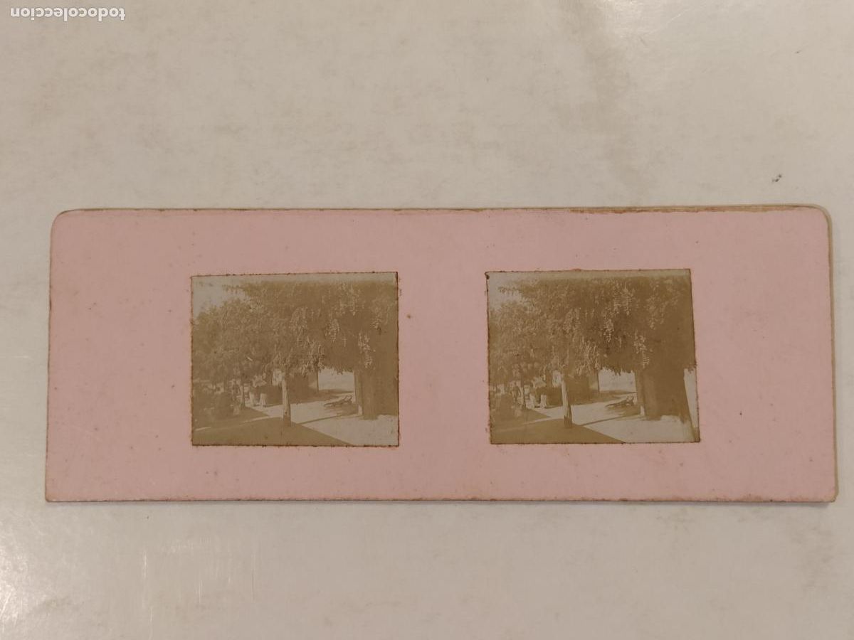 Fotograf&iacute;a antigua: ESTACION FERROCARRIL DE BALENYA - FOTOGRAFIA ANTIGUA ESTEREOCOPICA - ALBUMINAS PEGADAS -(K-15.353)