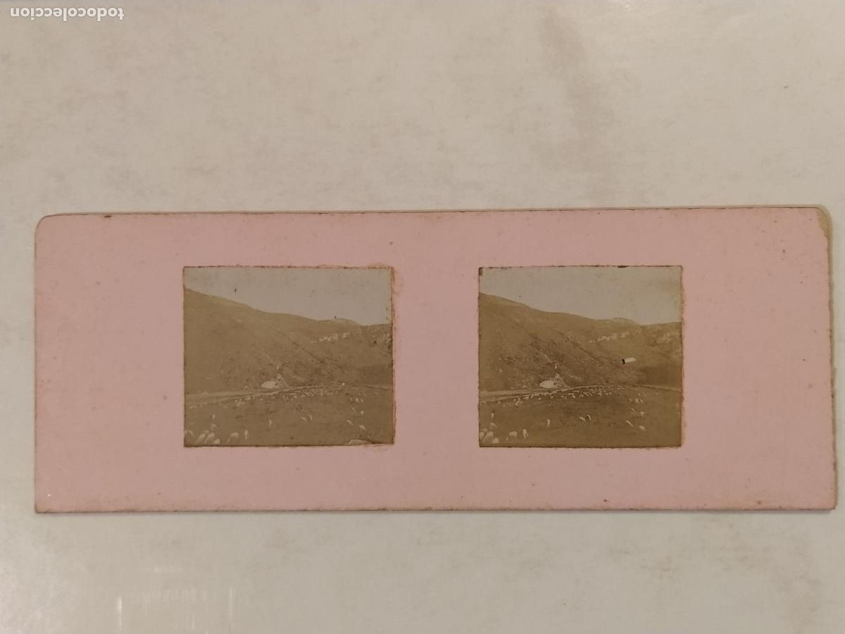 Fotograf&iacute;a antigua: CATALUNYA-LUGAR SIN IDENTIFICAR-FOTOGRAFIA ANTIGUA ESTEREOCOPICA-ALBUMINAS PEGADAS-(K-15.364)