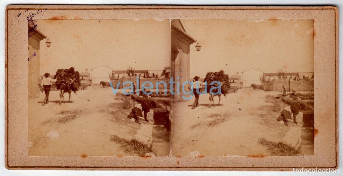 Fotograf&iacute;a antigua: Alfara. Antiqu&iacute;sima foto. Vista pueblo. Labrador carro y burro. Lavanderas en el rio. Siglo XIX