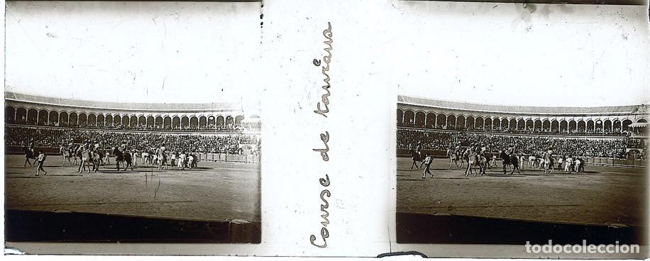 Fotograf&iacute;a antigua: TAUROMAQUIA CORRIDA TOROS ESTEREO DE CRISTAL FOT. FRANCES TAMA&Ntilde;O 4.5 X 10.7 CM.