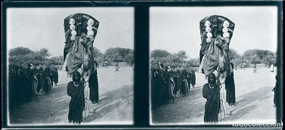 Photographie ancienne: AFRICA COLONIAL LOTE DE 14 NEGATIVOS ESTEREO DE CRISTAL TAMA&Ntilde;O 6 X 13 cm.