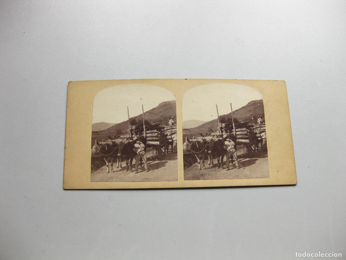 Fotograf&iacute;a antigua: FOTOGRAF&Iacute;A ESTEREOSC&Oacute;PICA DE UN CARRO DE BUEYES EN LA RUTA DE HY&Egrave;RES. FRANCIA