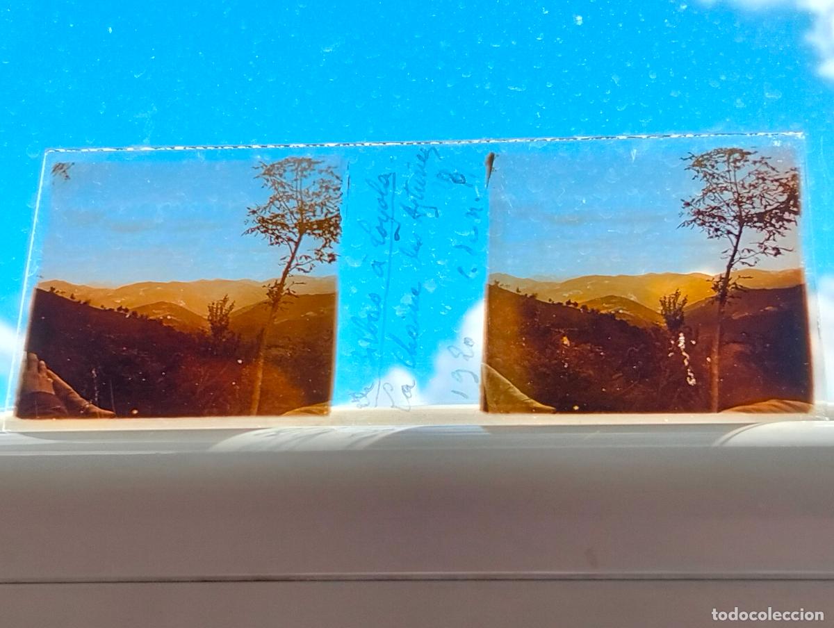 Fotografia antiga: PAISAJE EN GUIPUZCOA VISTA ESTEREOSCOPICA EN CRISTAL 4 X 10,5 CM