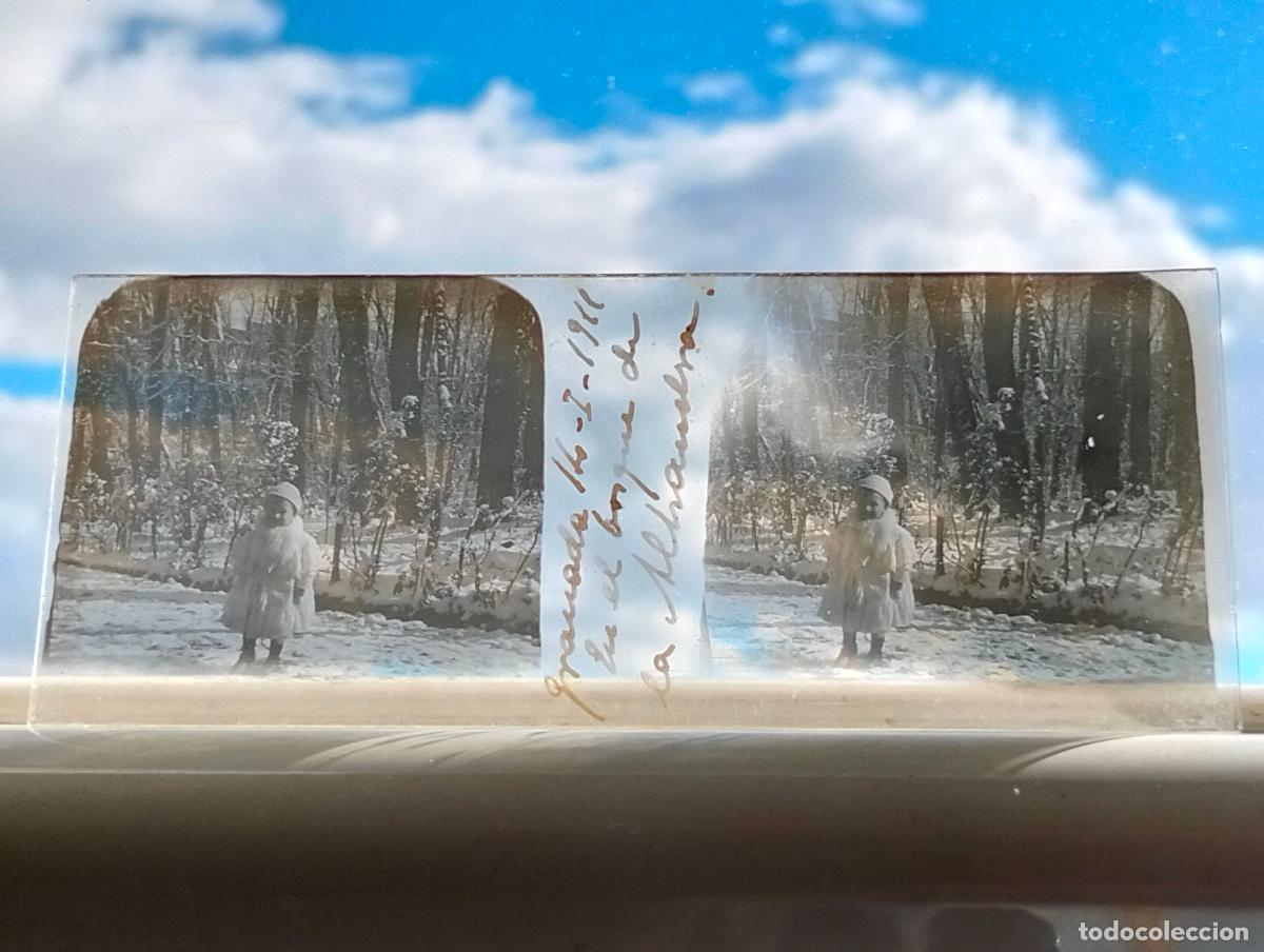 Fotograf&iacute;a antigua: GRANADA NI&Ntilde;A EN EL BOSQUE DE LA ALHAMBRA VISTA ESTEREOSCOPICA EN CRISTAL 4 X 10,5 CM