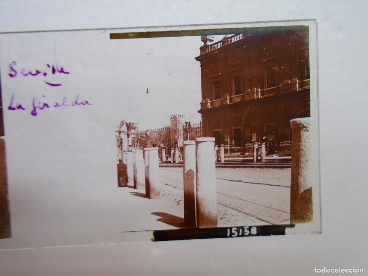 Alte Fotografie: SEVILLA. LA GIRALDA .PLACA ESTEREOSCOPICA EN CRISTAL,1&ordm; XX.10`5X4`5 CM.