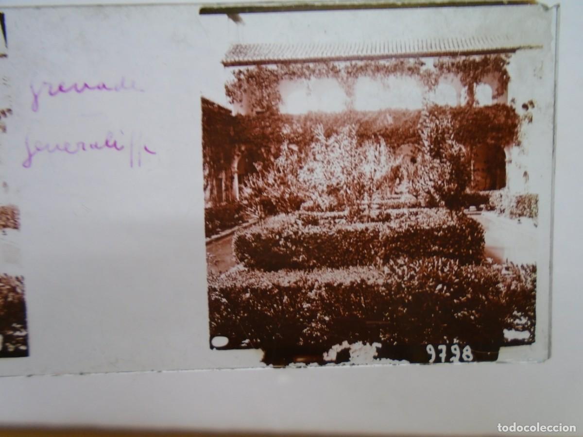 Fotografia antiga: GRANADA. GENERALIFE .PLACA ESTEREOSCOPICA EN CRISTAL,1&ordm; XX.10`5X4`5 CM.