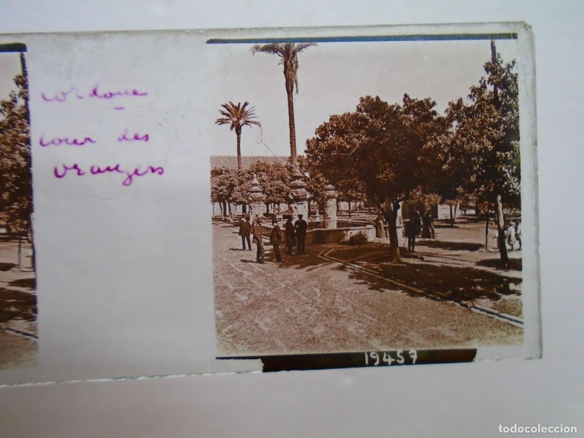 Fotografia antiga: CORDOBA. PATIO DE LOS NARANJOS .PLACA ESTEREOSCOPICA EN CRISTAL,1&ordm; XX.10`5X4`5 CM.