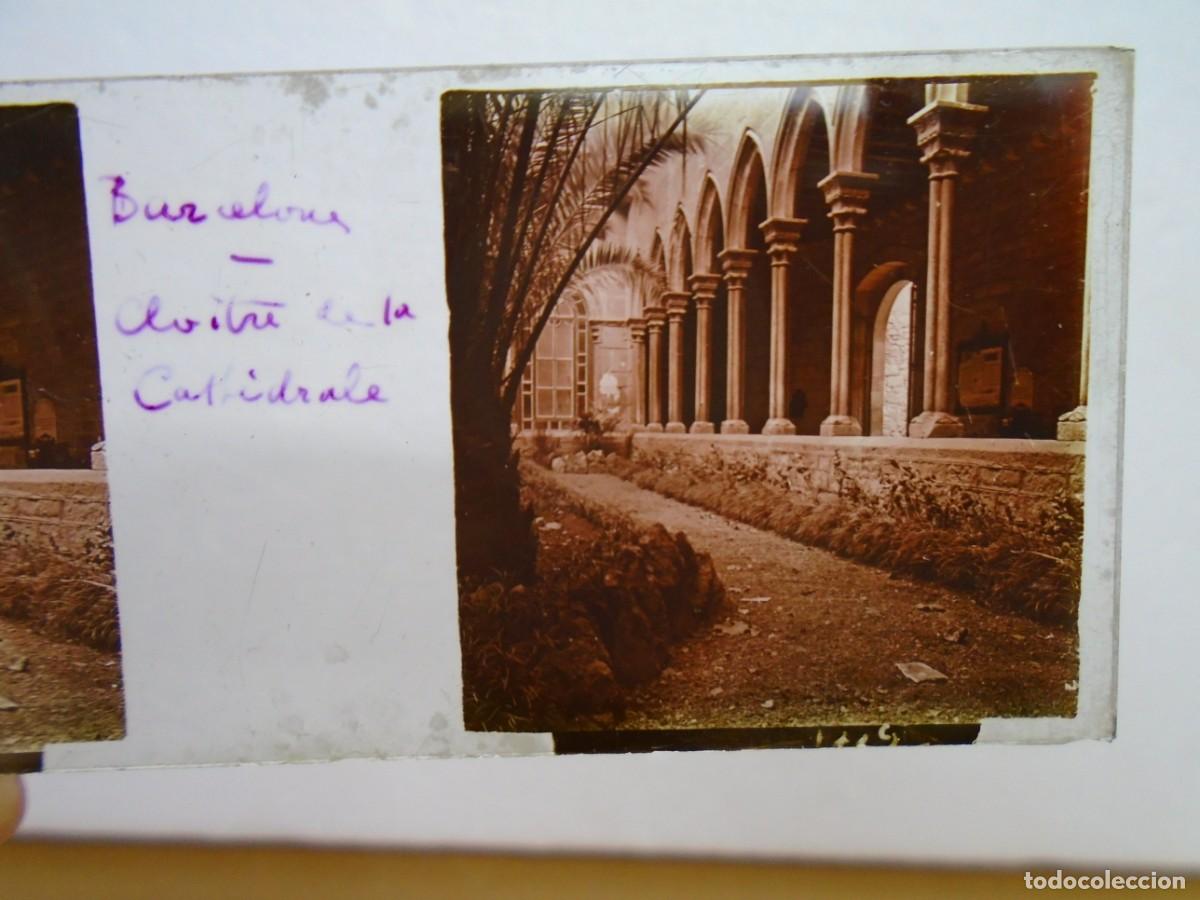 Fotografia antiga: BARCELONA. CLAUSTRO DE LA CATEDRAL .PLACA ESTEREOSCOPICA EN CRISTAL,1&ordm; XX.10`5X4`5 CM.