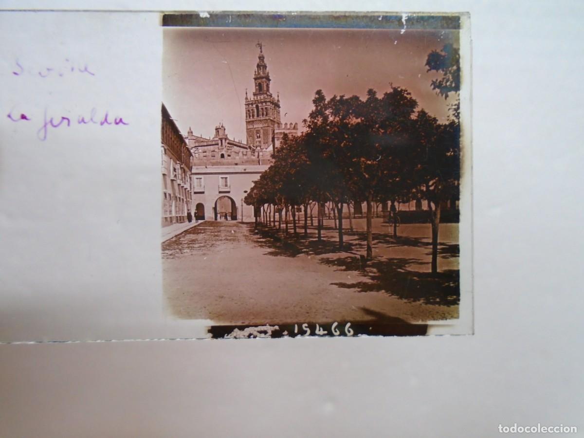 Fotograf&iacute;a antigua: SEVILLA. LA GIRALDA .PLACA ESTEREOSCOPICA EN CRISTAL,1&ordm; XX.10`5X4`5 CM.