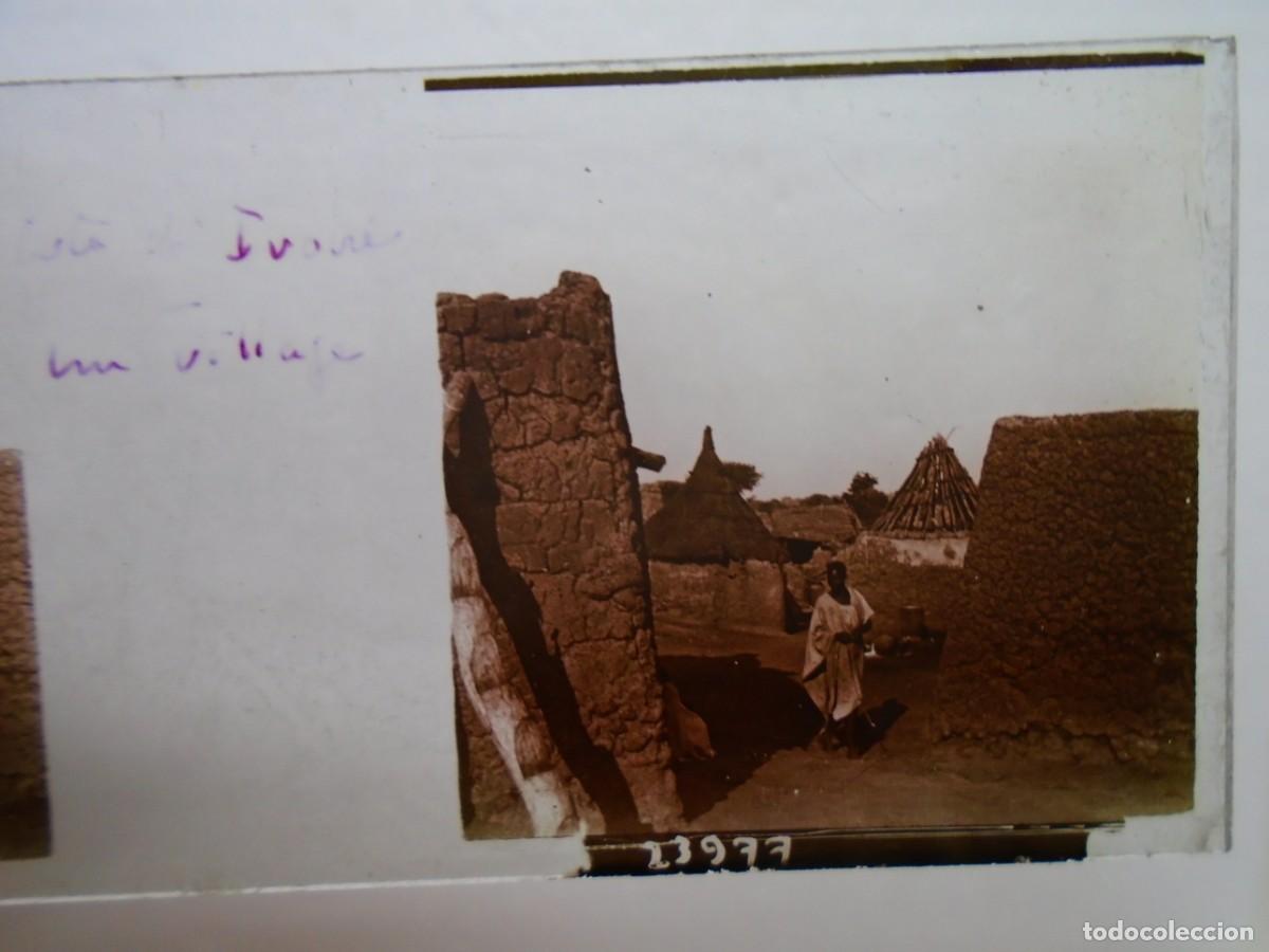 Fotograf&iacute;a antigua: COSTA DE MARFIL. ALDEA .PLACA ESTEREOSCOPICA EN CRISTAL,1&ordm; XX.10`5X4`5 CM.