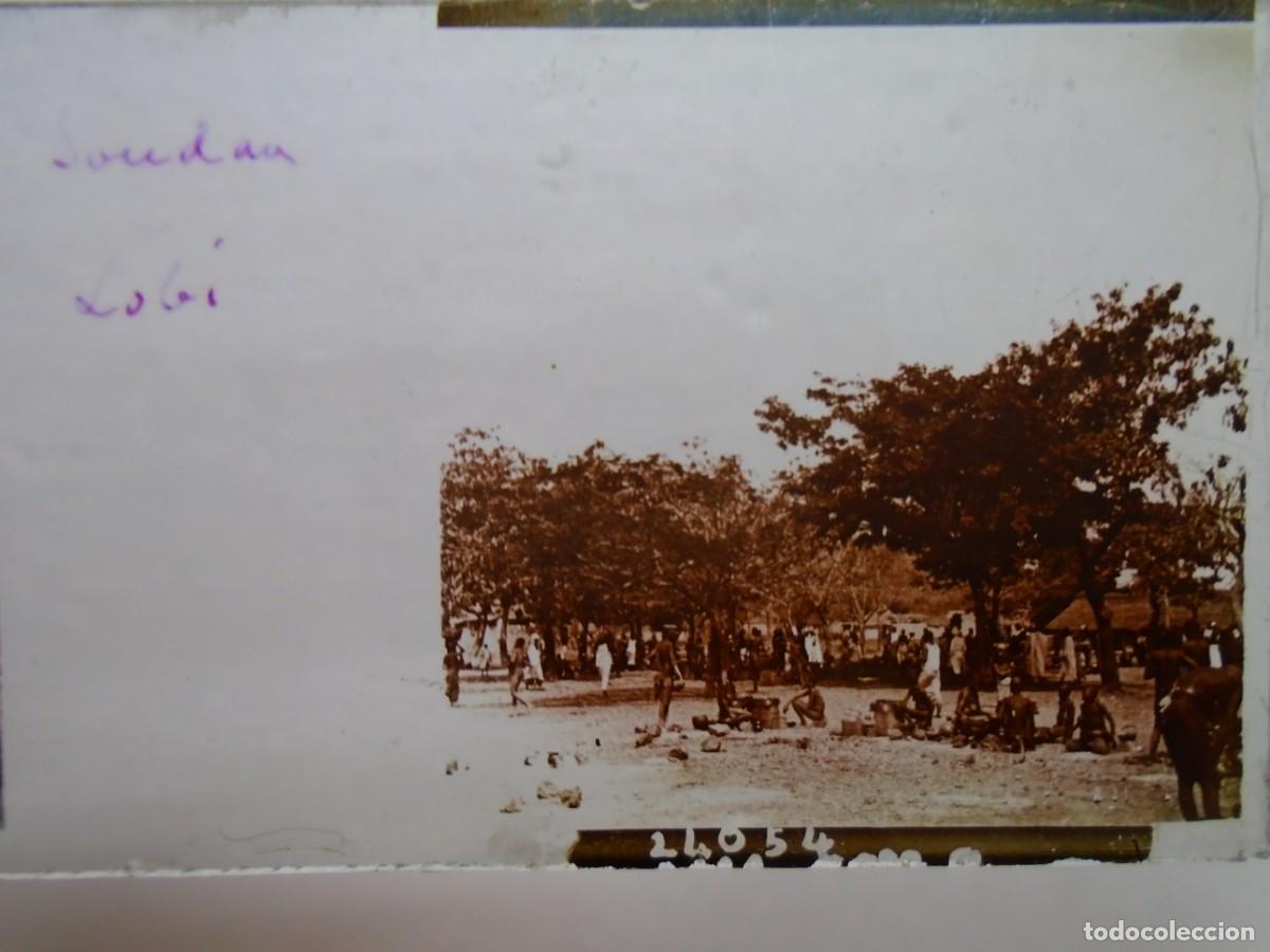 Fotograf&iacute;a antigua: SUDAN. TRIBU LOBI- REUNION.PLACA ESTEREOSCOPICA EN CRISTAL,1&ordm; XX.10`5X4`5 CM.