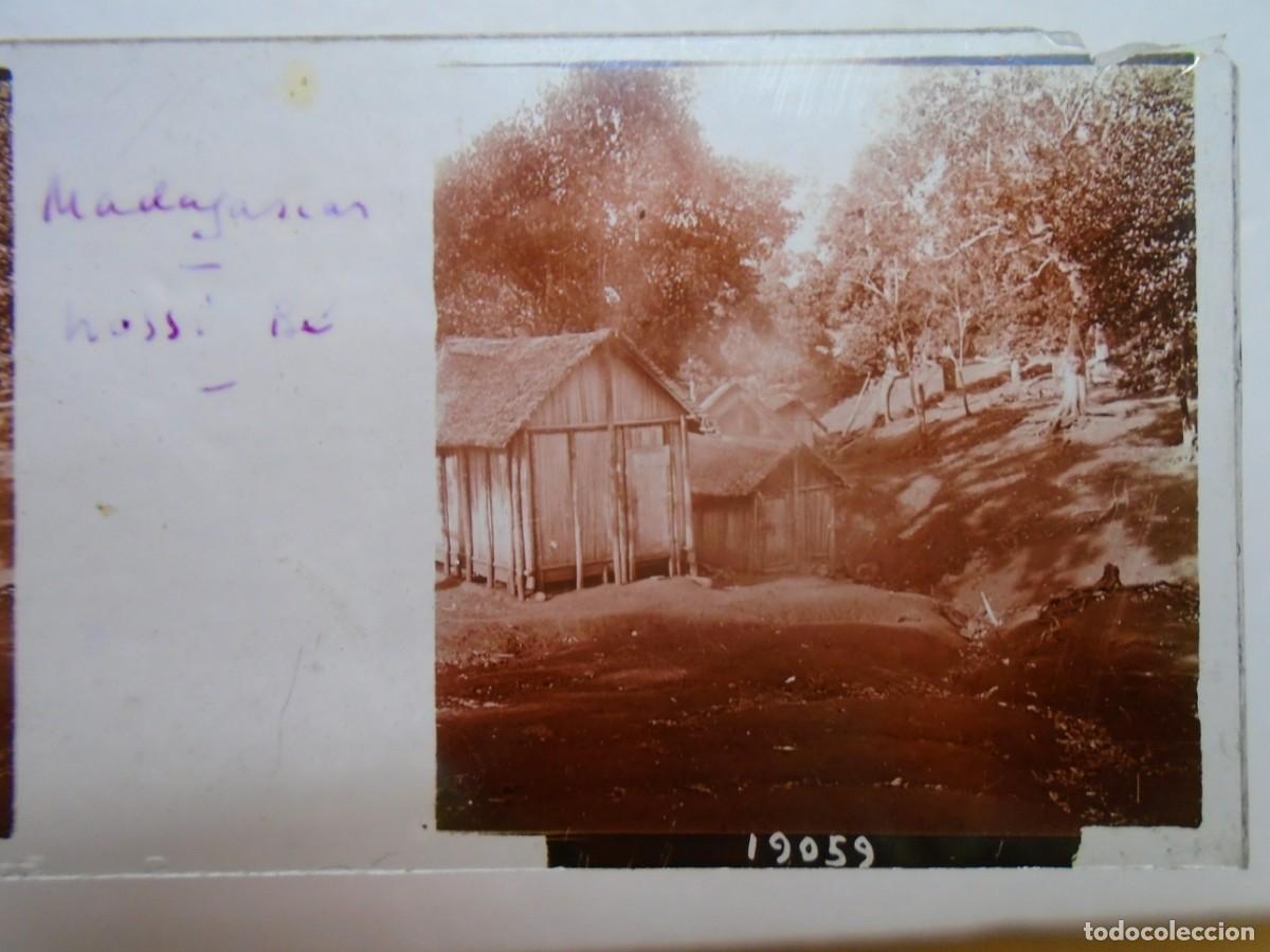 Fotograf&iacute;a antigua: NOSSI-BE(MADAGASCAR) POBLADO .PLACA ESTEREOSCOPICA EN CRISTAL,1&ordm; XX.10`5X4`5 CM.