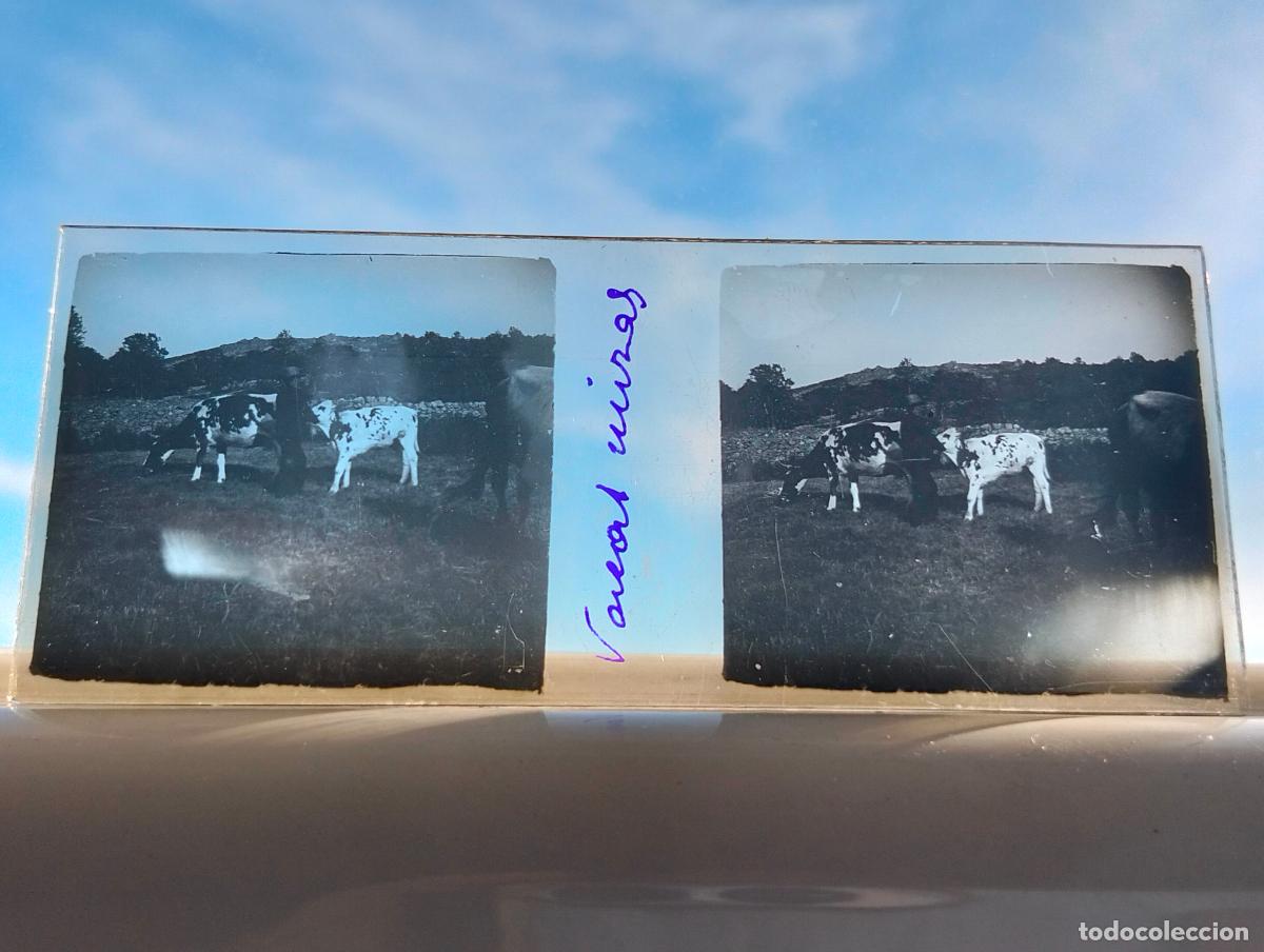 Fotograf&iacute;a antigua: CANDELARIO SALAMANCA VISTA ESTEREOCOPICA EN CRISTAL 4 X 10,5 CM