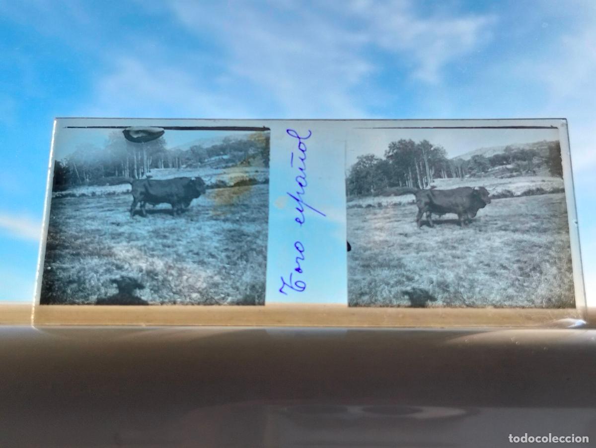 Fotograf&iacute;a antigua: CANDELARIO SALAMANCA VISTA ESTEREOCOPICA EN CRISTAL 4 X 10,5 CM