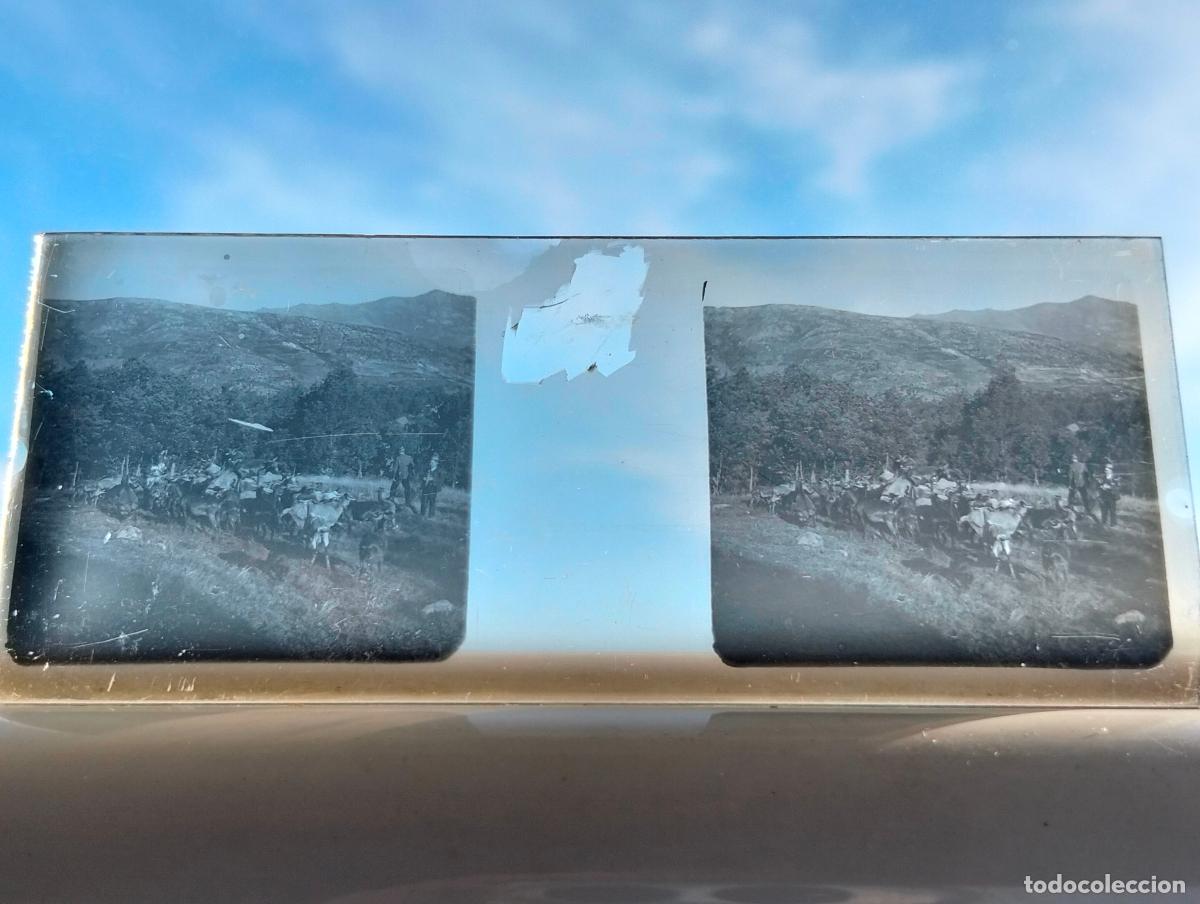Fotograf&iacute;a antigua: CANDELARIO SALAMANCA VISTA ESTEREOCOPICA EN CRISTAL 4 X 10,5 CM