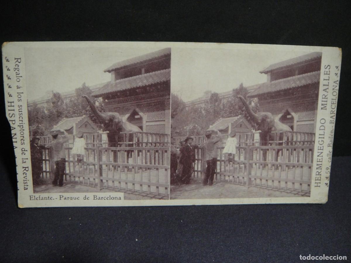 Fotograf&iacute;a antigua: elefante , parque de barcelona , regalo de la revista hispania , edita hermenegildo miralles ,