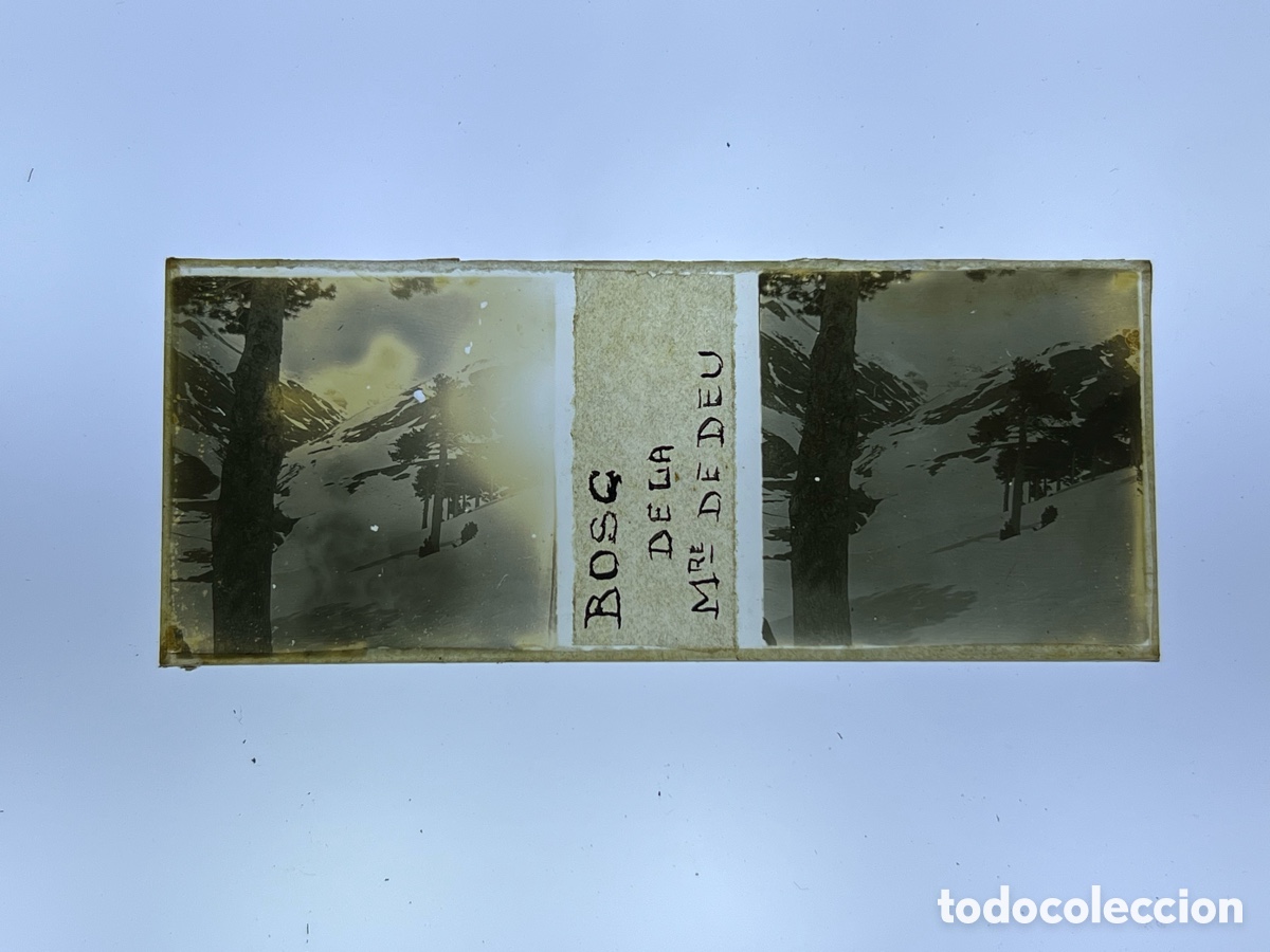 Fotograf&iacute;a antigua: NURIA (Gerona) Cristal Estereosc&oacute;pico BOSC DE LA MARE DE D&Eacute;U (a.1921)