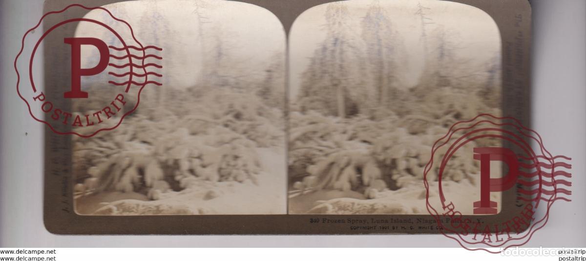 Fotograf&iacute;a antigua: FROZEN SPRAY LUNA ISLAND NIAGARA FALLS st&eacute;r&eacute;oscopique st&eacute;r&eacute;oscope carte photo st&eacute;r&eacute;o
