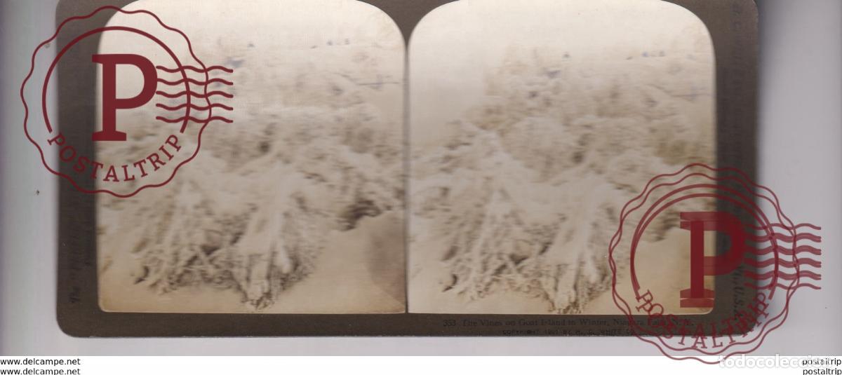 Fotograf&iacute;a antigua: VINES ON GOAT ISLAND WINTER NIAGARA FALLS st&eacute;r&eacute;oscopique st&eacute;r&eacute;oscope carte photo st&eacute;r&eacute;o