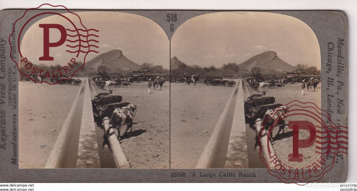 Fotograf&iacute;a antigua: A LARGE CATTLE RANCH. - KEYSTONE VIEW COMPANY. ESTEREOSCOPICA