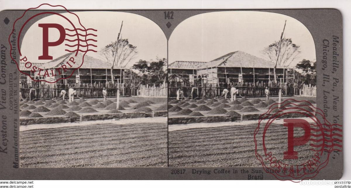 Photographie ancienne: BRAZIL. DRYING COFFEE IN THE SUN, SAO PAULO. - KEYSTONE VIEW COMPANY. ESTEREOSCOPICA