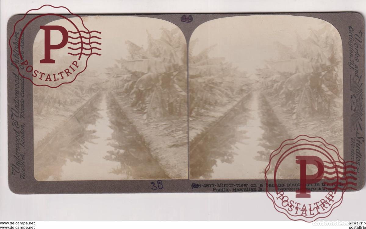 Alte Fotografie: HAWAII. UNDERWOOD ESTEREOSCOPICA ST&Eacute;R&Eacute;OSCOPIQUE STEREOSCOPIC STEREOSCOPISCH