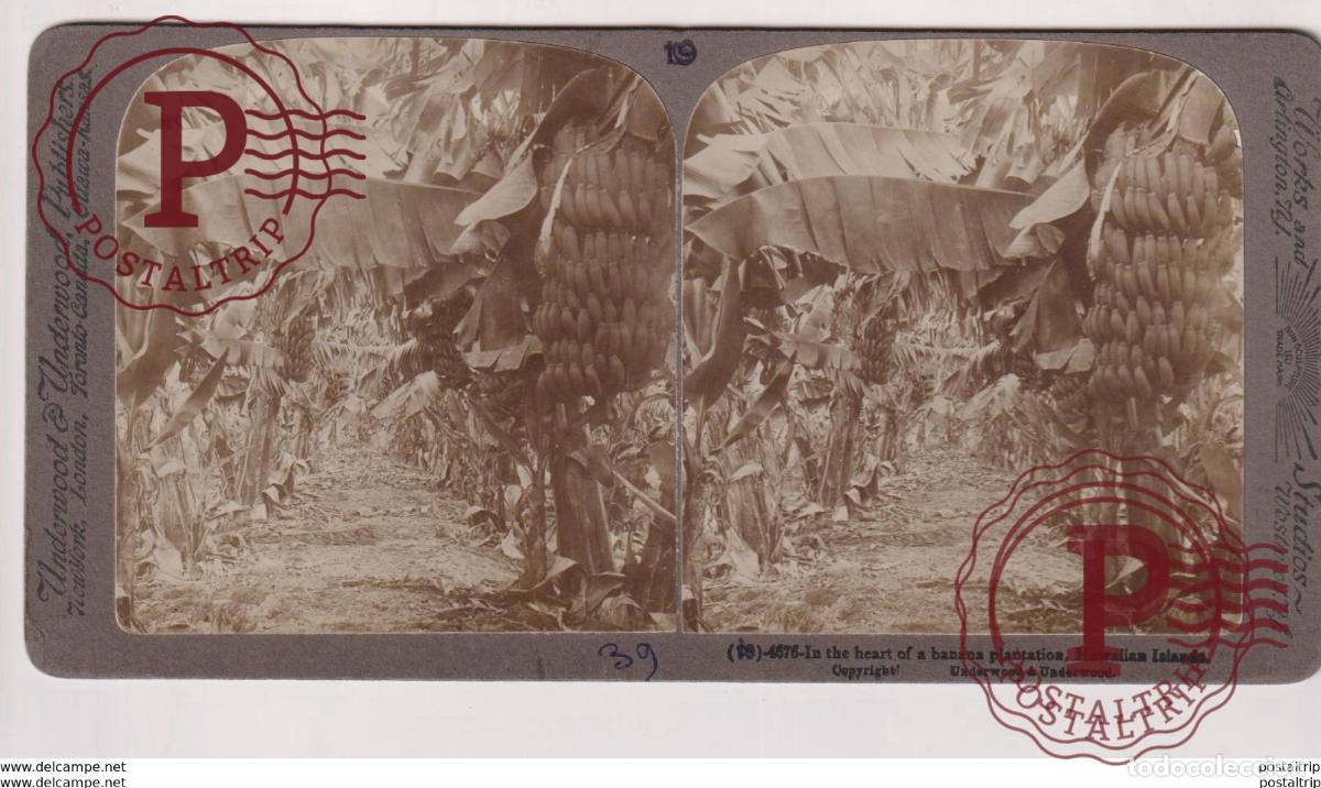 Fotograf&iacute;a antigua: HAWAII. ESTEREOSCOPICA ST&Eacute;R&Eacute;OSCOPIQUE STEREOSCOPIC STEREOSCOPISCH