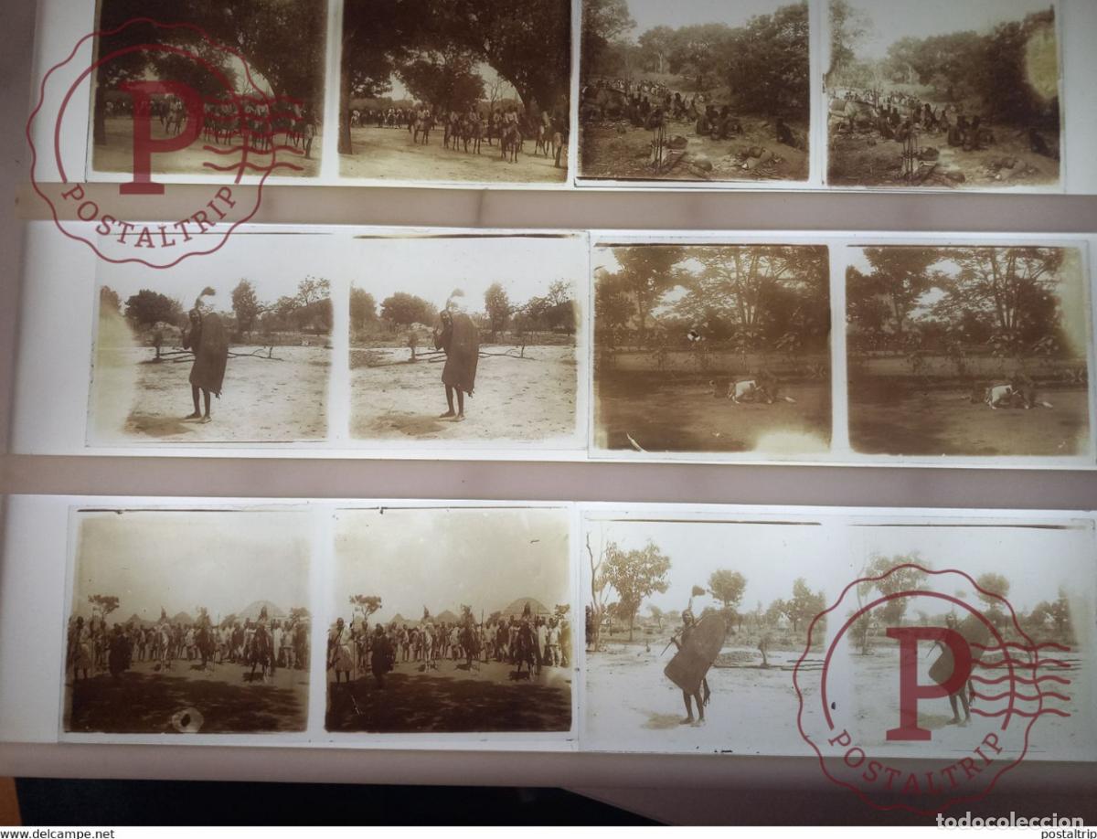 Fotograf&iacute;a antigua: ensemble de 9 plaques st&eacute;r&eacute;oscopiques n&eacute;gatives et positives 13 x 6 cm Cameroun afrique africa