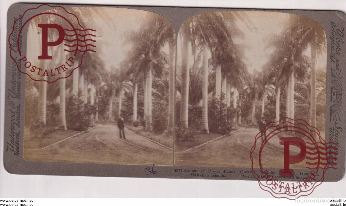 Fotograf&iacute;a antigua: HAWAII. ESTEREOSCOPICA ST&Eacute;R&Eacute;OSCOPIQUE STEREOSCOPIC STEREOSCOPISCH