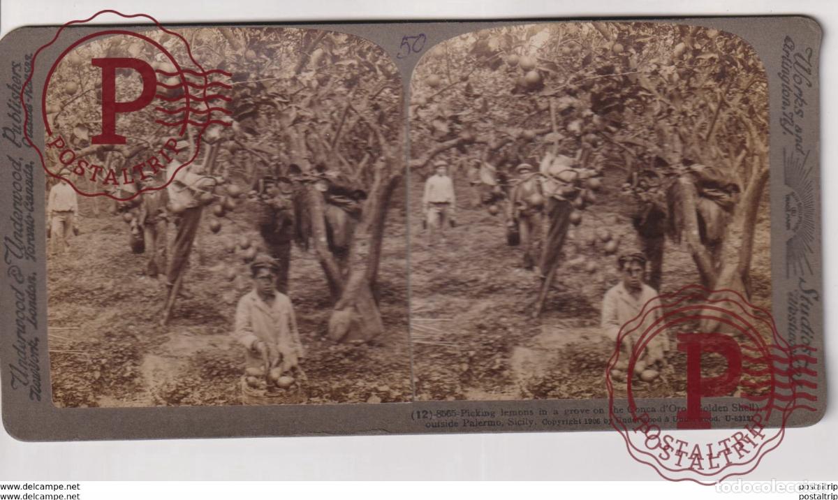 Fotograf&iacute;a antigua: ITALIA. SICILIA. PALERMO. ESTEREOSCOPICA ST&Eacute;R&Eacute;OSCOPIQUE STEREOSCOPIC STEREOSCOPISCH