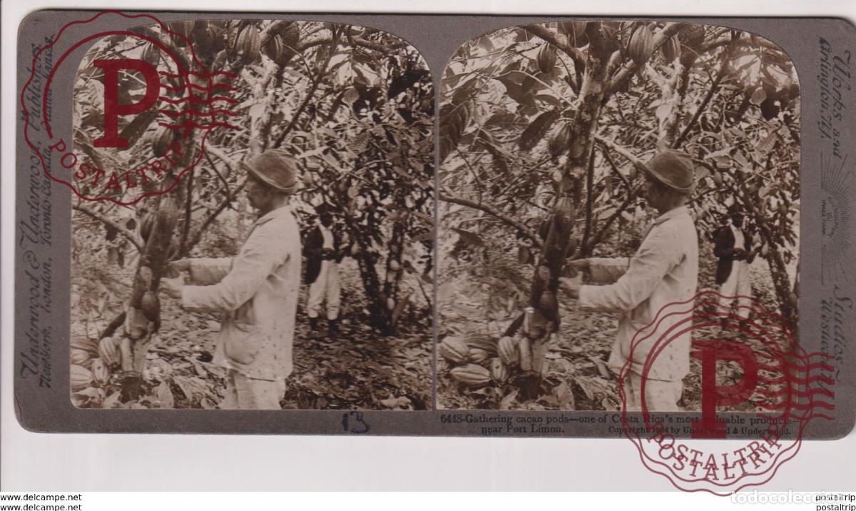 Fotograf&iacute;a antigua: COSTA RICA. PORT LIMON. ESTEREOSCOPICA ST&Eacute;R&Eacute;OSCOPIQUE STEREOSCOPIC STEREOSCOPISCH