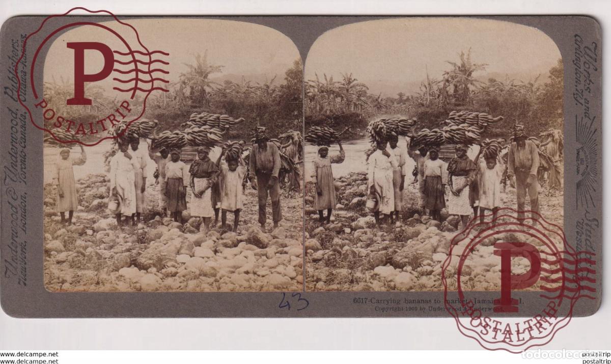Fotograf&iacute;a antigua: JAMAICA. ESTEREOSCOPICA ST&Eacute;R&Eacute;OSCOPIQUE STEREOSCOPIC STEREOSCOPISCH