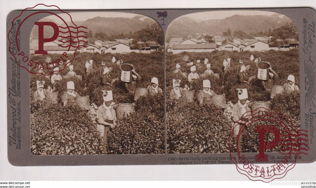 Fotograf&iacute;a antigua: JAPAN. UJL. ESTEREOSCOPICA ST&Eacute;R&Eacute;OSCOPIQUE STEREOSCOPIC STEREOSCOPISCH