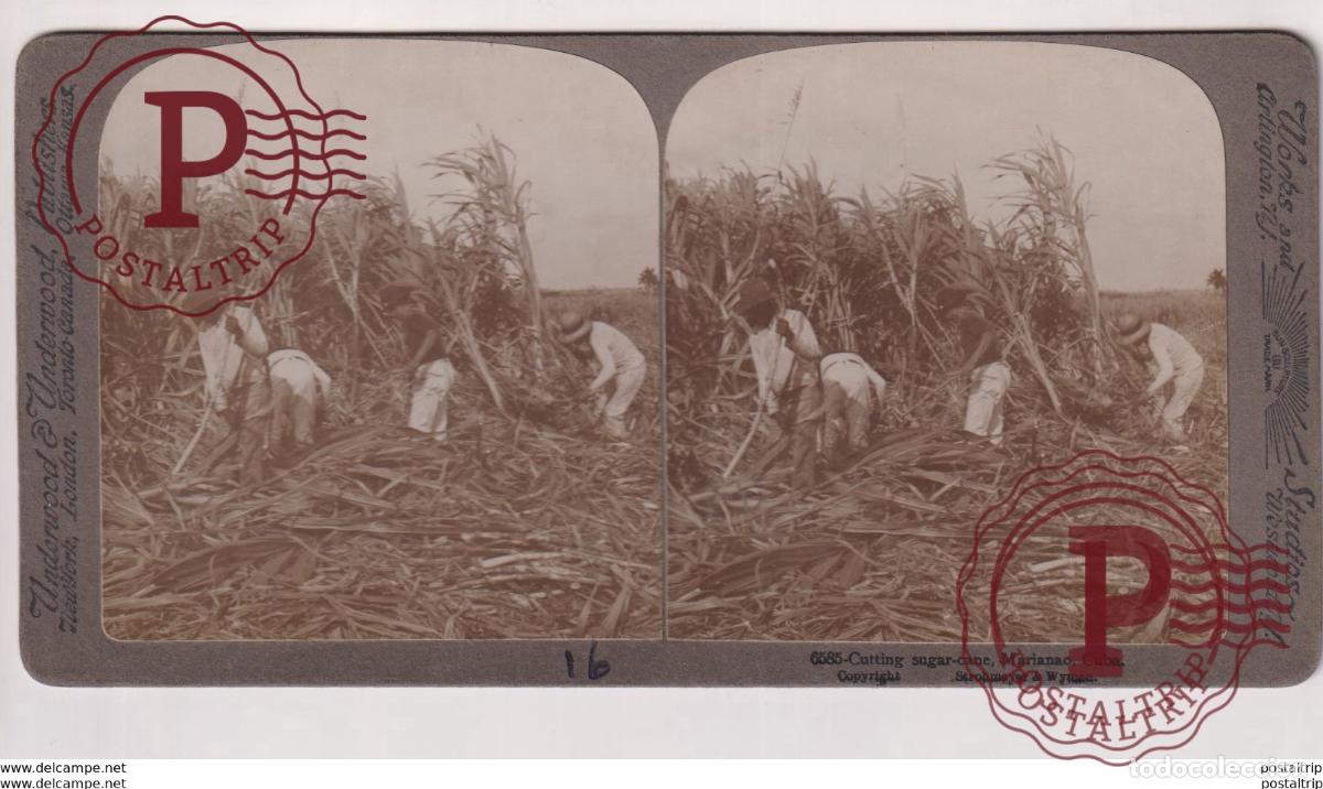Fotografia antiga: CUBA. MARIANAO. ESTEREOSCOPICA ST&Eacute;R&Eacute;OSCOPIQUE STEREOSCOPIC STEREOSCOPISCH