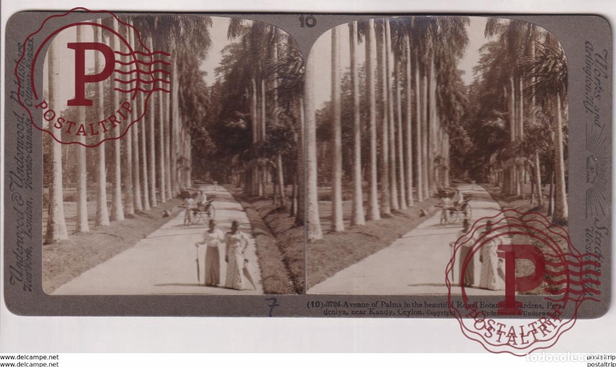 Fotograf&iacute;a antigua: CEYLON KANDY. ESTEREOSCOPICA ST&Eacute;R&Eacute;OSCOPIQUE STEREOSCOPIC STEREOSCOPISCH