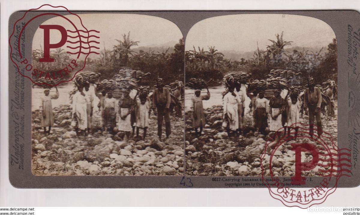 Fotograf&iacute;a antigua: JAMAICA. ESTEREOSCOPICA ST&Eacute;R&Eacute;OSCOPIQUE STEREOSCOPIC STEREOSCOPISCH