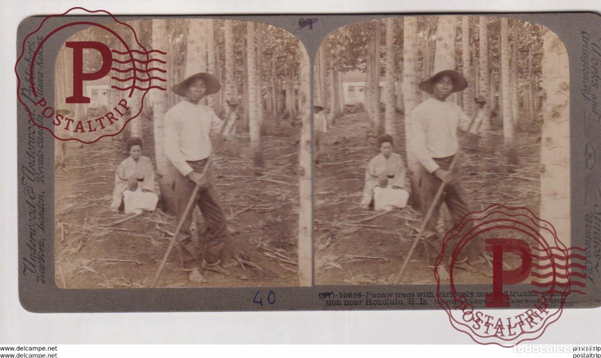 Fotograf&iacute;a antigua: HAWAII. HONOLULU. ESTEREOSCOPICA ST&Eacute;R&Eacute;OSCOPIQUE STEREOSCOPIC STEREOSCOPISCH