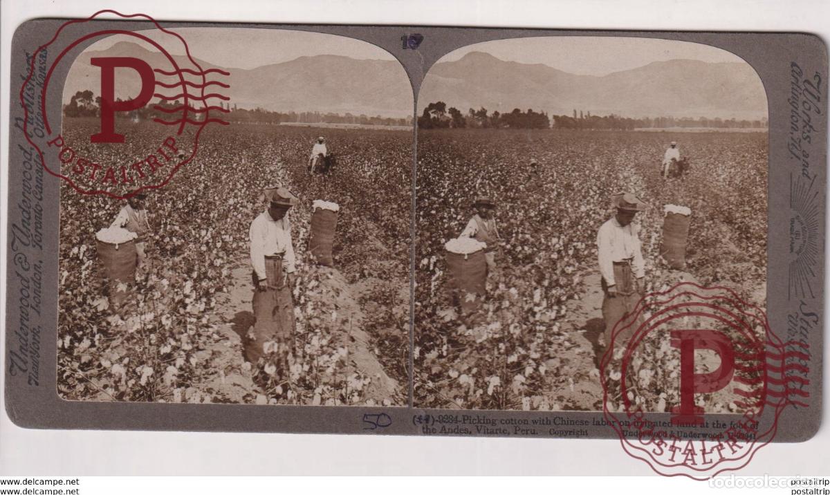Fotograf&iacute;a antigua: PERU. VITARTE. ESTEREOSCOPICA ST&Eacute;R&Eacute;OSCOPIQUE STEREOSCOPIC STEREOSCOPISCH