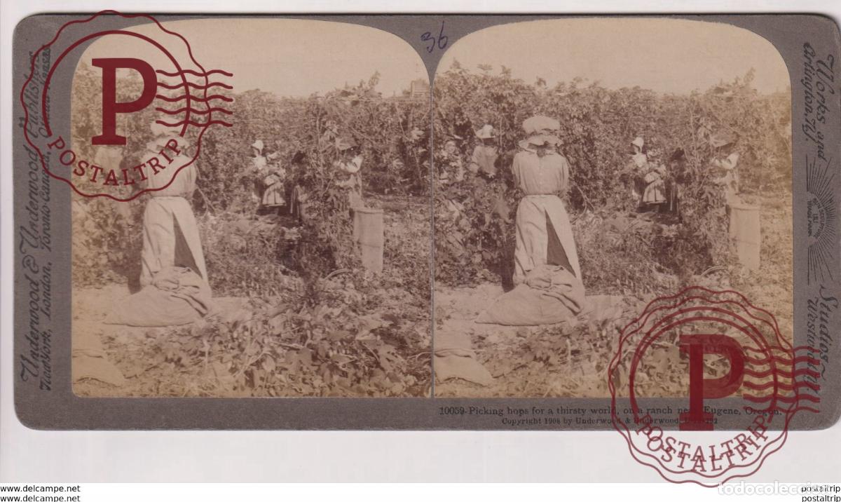Fotograf&iacute;a antigua: OREGON. EUGENE. ESTEREOSCOPICA ST&Eacute;R&Eacute;OSCOPIQUE STEREOSCOPIC STEREOSCOPISCH