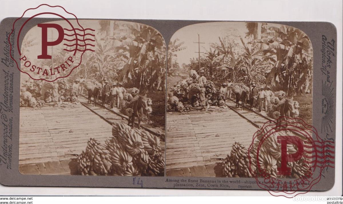 Fotograf&iacute;a antigua: COSTA RICA. ZENT. ESTEREOSCOPICA ST&Eacute;R&Eacute;OSCOPIQUE STEREOSCOPIC STEREOSCOPISCH
