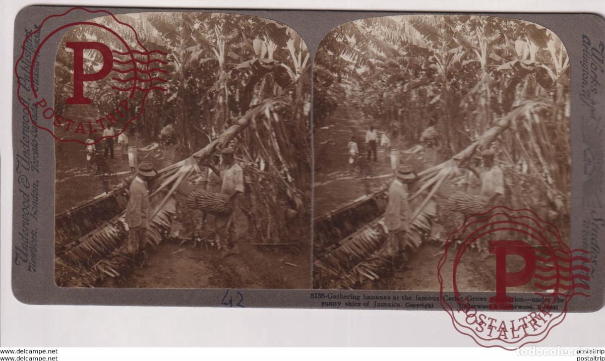 Fotograf&iacute;a antigua: JAMAICA. ESTEREOSCOPICA ST&Eacute;R&Eacute;OSCOPIQUE STEREOSCOPIC STEREOSCOPISCH