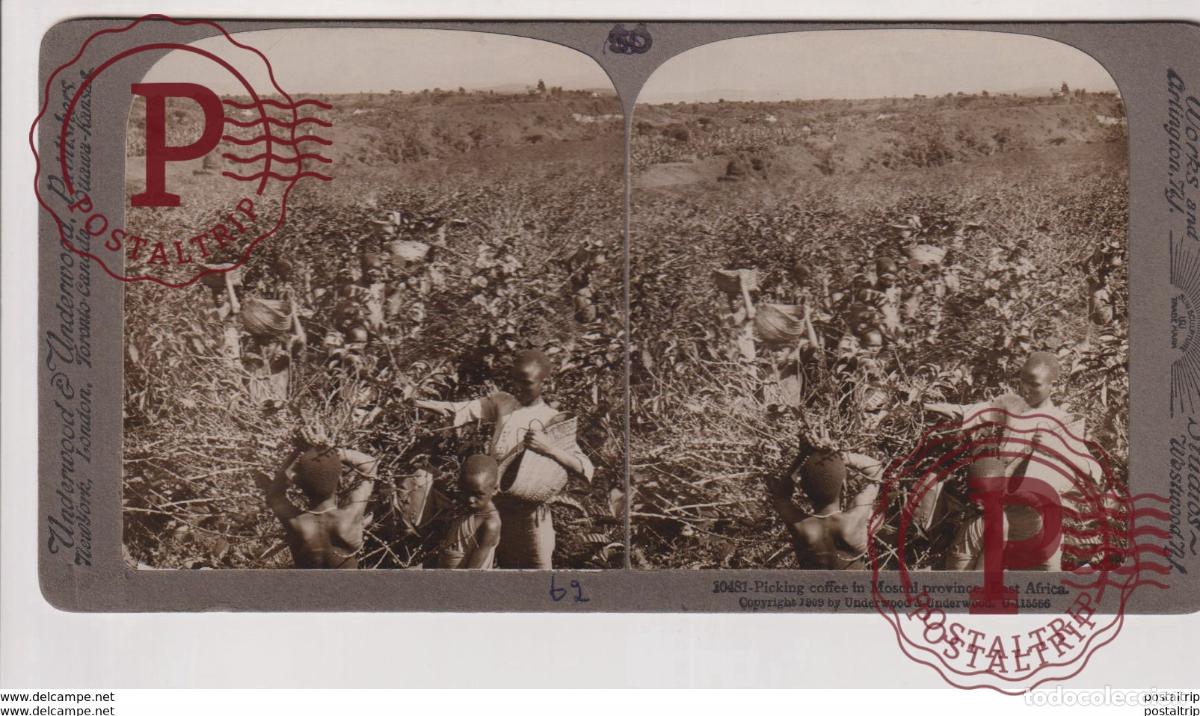 Fotograf&iacute;a antigua: EAST AFRICA. MOSCHI PROVINCE. ESTEREOSCOPICA ST&Eacute;R&Eacute;OSCOPIQUE STEREOSCOPIC STEREOSCOPISCH
