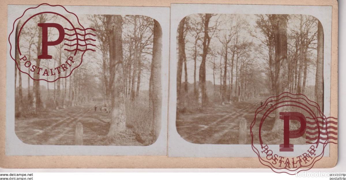 Fotograf&iacute;a antigua: NOORD HOLLAND VELSEN 18*9CM ESTEREOSCOPICA ESTEREO PRIVATE COLLECTIE NEDERLAND