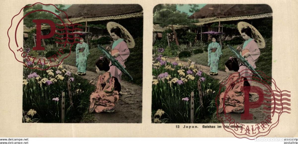 Fotograf&iacute;a antigua: JAPAN. JAPON. GEISHAS IM IRIS GARTEN. ESTEREOSCOPICAS - ST&Eacute;R&Eacute;OSCOPIQUE - STEREOSCOPIC
