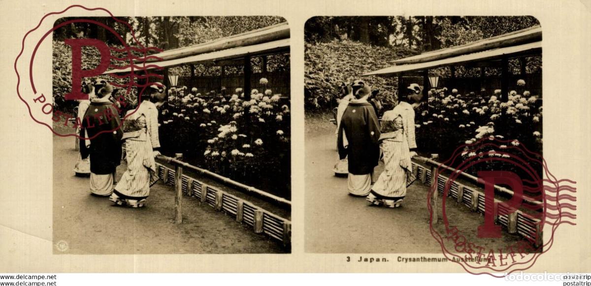 Fotograf&iacute;a antigua: JAPAN. JAPON. CRYSANTHEMUM AUSSTELLUNG. ESTEREOSCOPICA - ST&Eacute;R&Eacute;OSCOPIQUE - STEREOSCOPIC