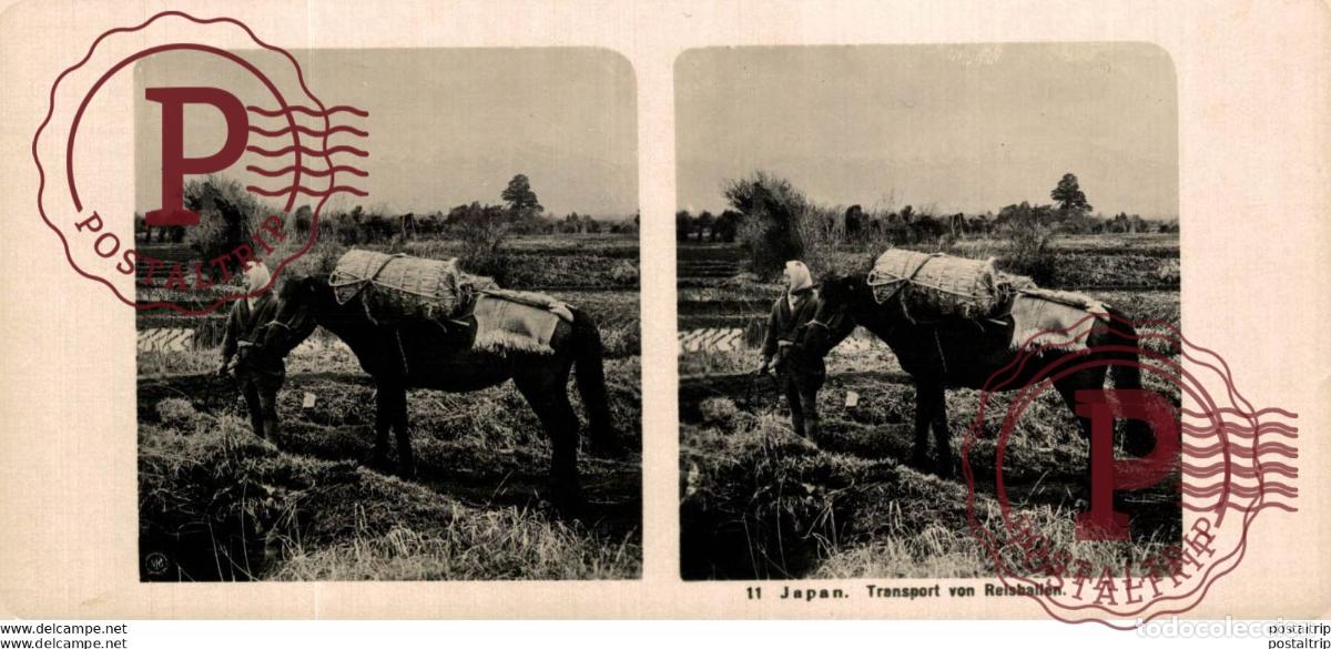 Fotograf&iacute;a antigua: JAPAN. JAPON. TRANSPORT VON REISBALLEN. ESTEREOSCOPICA - ST&Eacute;R&Eacute;OSCOPIQUE - STEREOSCOPIC